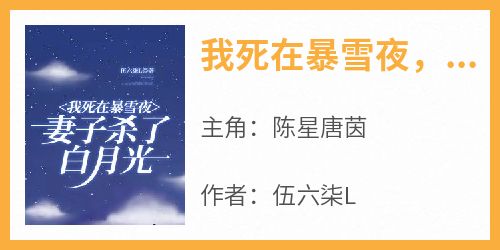我死在暴雪夜，妻子杀了白月光