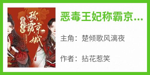 恶毒王妃称霸京城