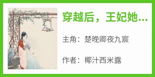 穿越后，王妃她高不可攀