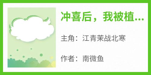 冲喜后，我被植物人老公缠上了