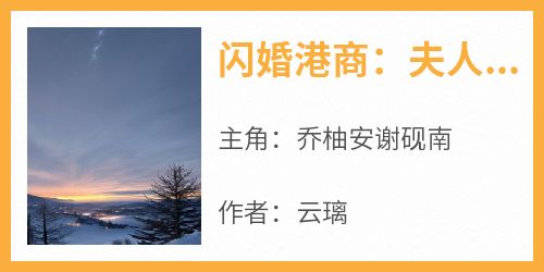 闪婚港商：夫人她一胎三宝