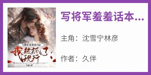 写将军羞羞话本后，我被抓了现行