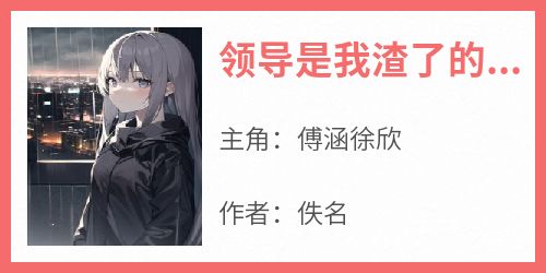 领导是我渣了的前任
