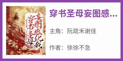 穿书圣母妄图感化我