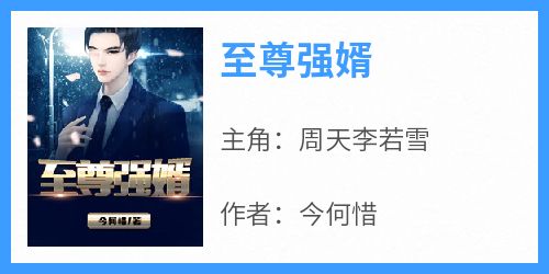 至尊强婿