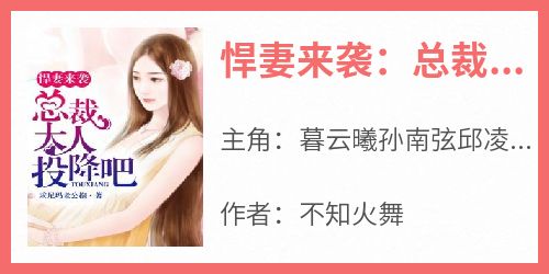 悍妻来袭：总裁大人投降吧