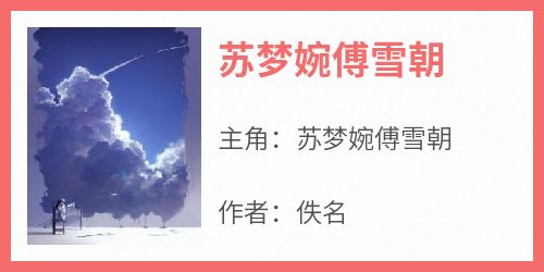 苏梦婉傅雪朝