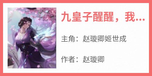 九皇子醒醒，我才是女主