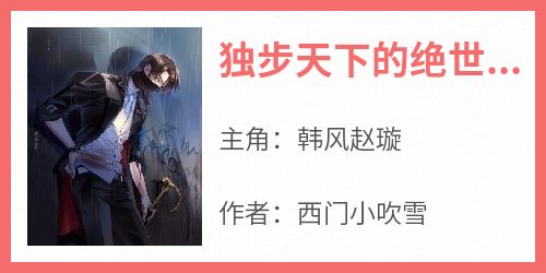 独步天下的绝世高手韩风