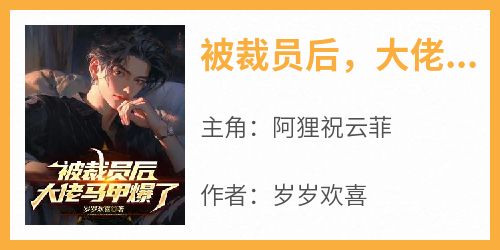 被裁员后，大佬马甲爆了