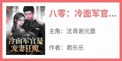 八零：冷面军官是宠妻狂魔