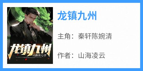 龙镇九州