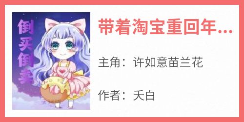 带着淘宝重回年代过红火日子