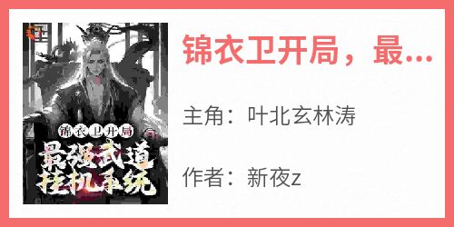 锦衣卫开局，最强武道挂机系统