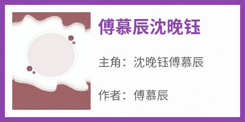 傅慕辰沈晚钰