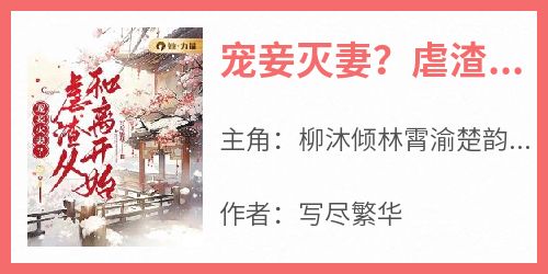 宠妾灭妻？虐渣从和离开始！