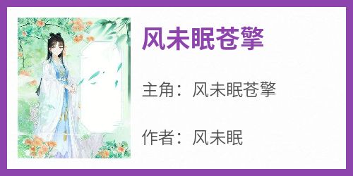 风未眠苍擎