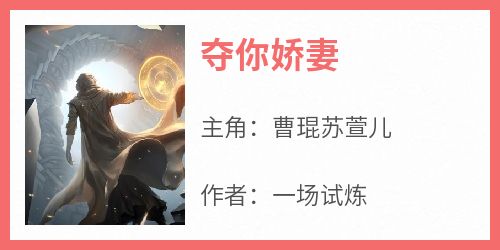 夺你娇妻