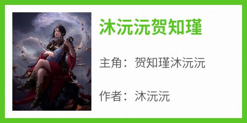 沐沅沅贺知瑾