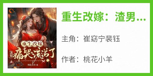 重生改嫁：渣男痛哭流涕了