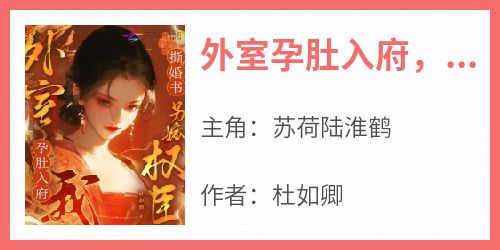 外室孕肚入府，我撕婚书另嫁权臣
