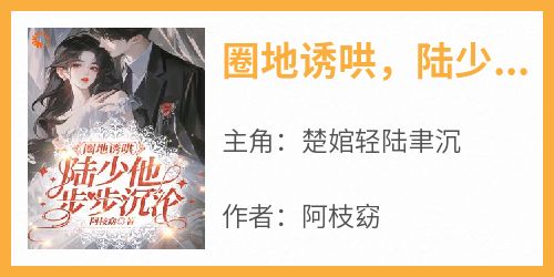 圈地诱哄，陆少他步步沉沦