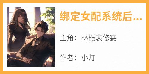 绑定女配系统后，我攻略了前男友