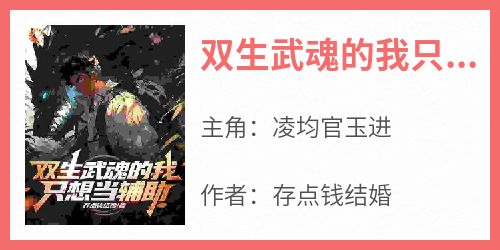 双生武魂的我只想当辅助