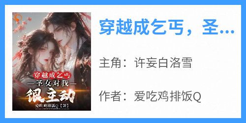 穿越成乞丐，圣女对我很主动