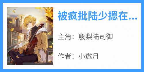 被疯批陆少摁在怀里狂宠