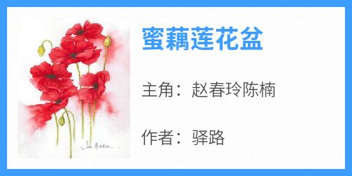 蜜藕莲花盆
