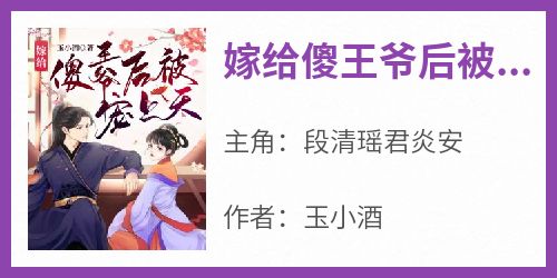 嫁给傻王爷后被宠上天