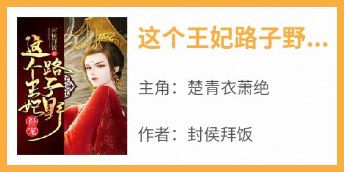 这个王妃路子野，得宠！