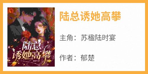 陆总诱她高攀