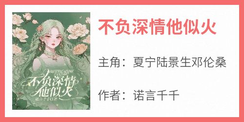 不负深情他似火