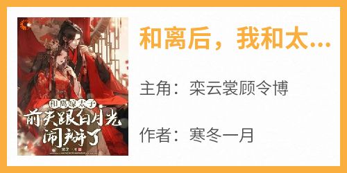 和离后，我和太子殿下一起虐渣渣