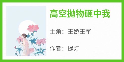 高空抛物砸中我