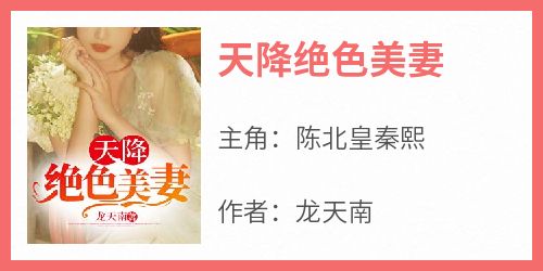 天降绝色美妻