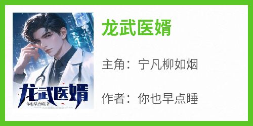 龙武医婿