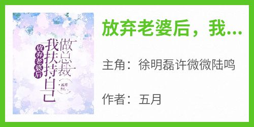 放弃老婆后，我扶持自己做总裁