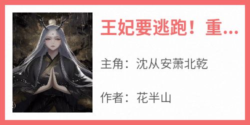 王妃要逃跑！重生王爷卑微求留下