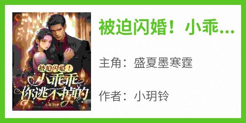 被迫闪婚！小乖乖，你逃不掉的