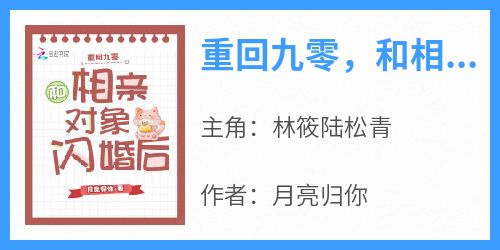 重回九零，和相亲对象闪婚后