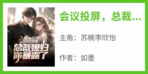 会议投屏，总裁媳妇你暴露了
