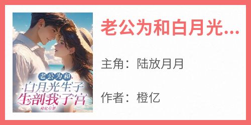 老公为和白月光生子，生剖我子宫