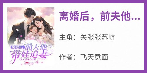 离婚后，前夫他带娃追妻