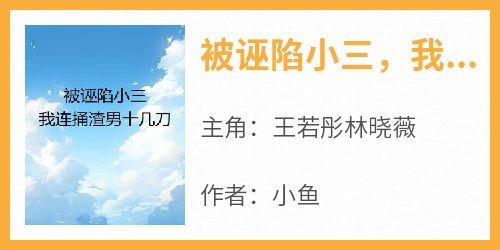 被诬陷小三，我连捅渣男十几刀