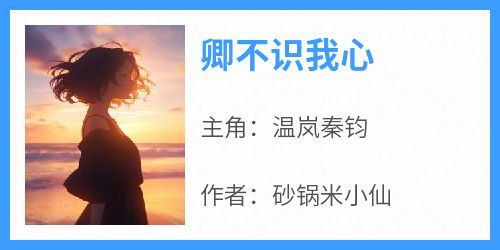 卿不识我心