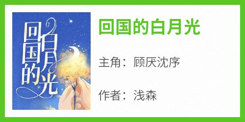 回国的白月光