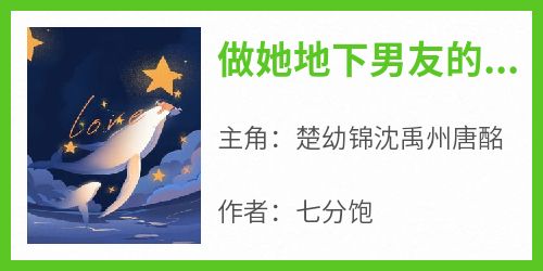 做她地下男友的第五年